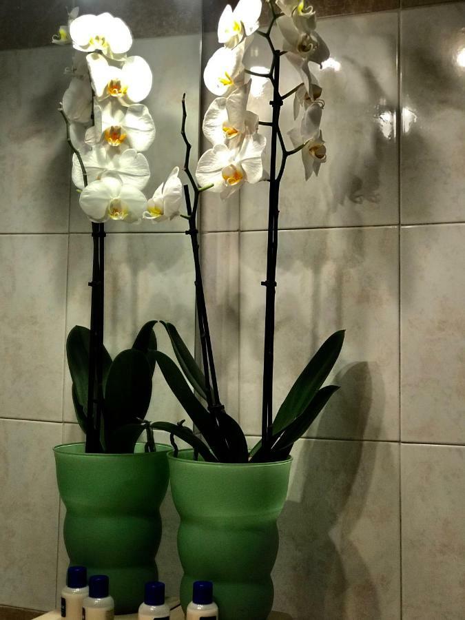 Cute Flat - Best Price - Wi Fi - Ac - Tv Firenze Bagian luar foto